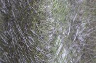 St Combs fibreglass roof work